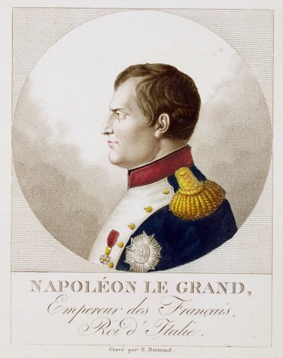 Porträt von Napoleon von Noel Francois Bertrand